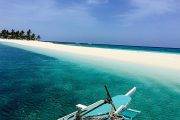 Tauchreise Philippinen (Malapascua Island) | Hippocampus Beach Resort | Tauchboot Devocean Divers: Sandbank