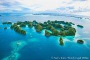 Tauchreise Palau | Palasia Hotel • Tauchbasis Sam`s Tours | Inselwelt