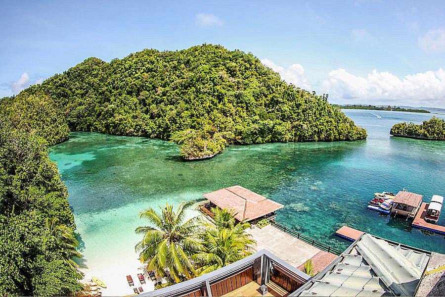 Tauchreise Palau | Sea Passion Hotel |  Fish 'n Fins Tauchtouren