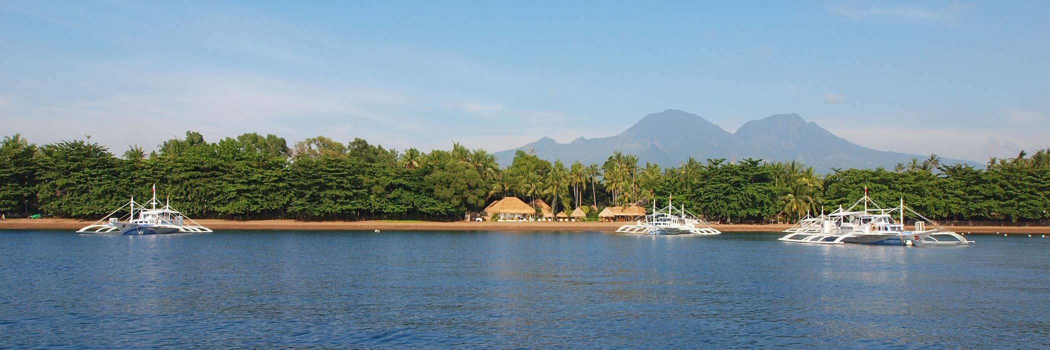 Negros • Pura Vida Beach & Dive Resort Dauin