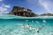 Tauchreise Raja Ampat (Indonesien) | Misool Eco Resort | Schnorchelwelt
