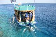 Tauchreise Malediven | Sandies Bathala Resort | Tauchboot