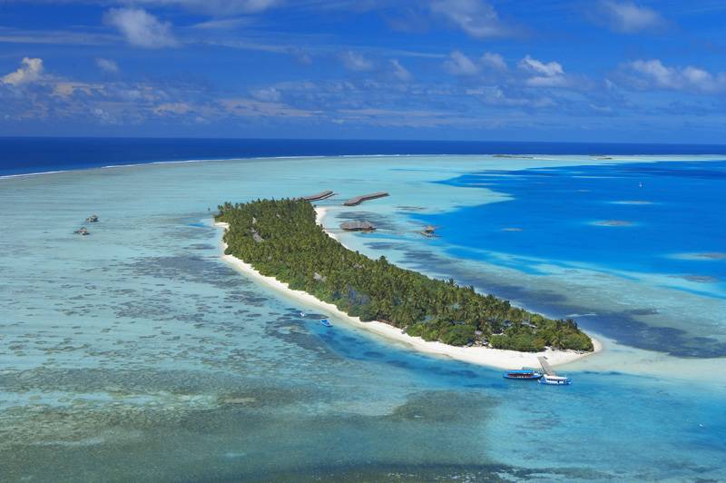 Tauchreise Malediven | Medhufushi Island Resort | Natürliches Riff