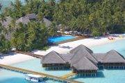 Tauchreise Malediven | Medhufushi Island Resort | Verstecktes Resortgelände unter Palmen