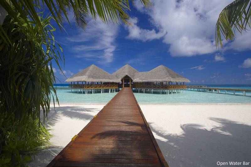 Tauchreise Malediven | Medhufushi Island Resort | Open Water Bar