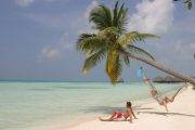 Tauchreise Malediven | Medhufushi Island Resort | Kokospalmen am Strand