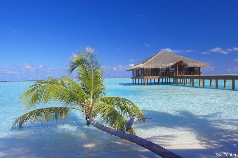Tauchreise Malediven | Medhufushi Island Resort | Wasserbungalow