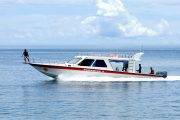 Tauchreise Indonesien (Raja Ampat) | Tauchboot Papua Paradise Dive Center