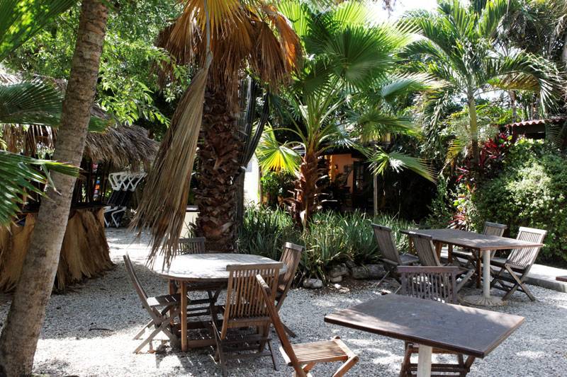 Tauchreise Bonaire | Tropical Inn Resort | Tropisch bewachsenes Restaurant