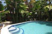 Tauchreise Bonaire | Tropical Inn Resort | Tropische Poolanlage