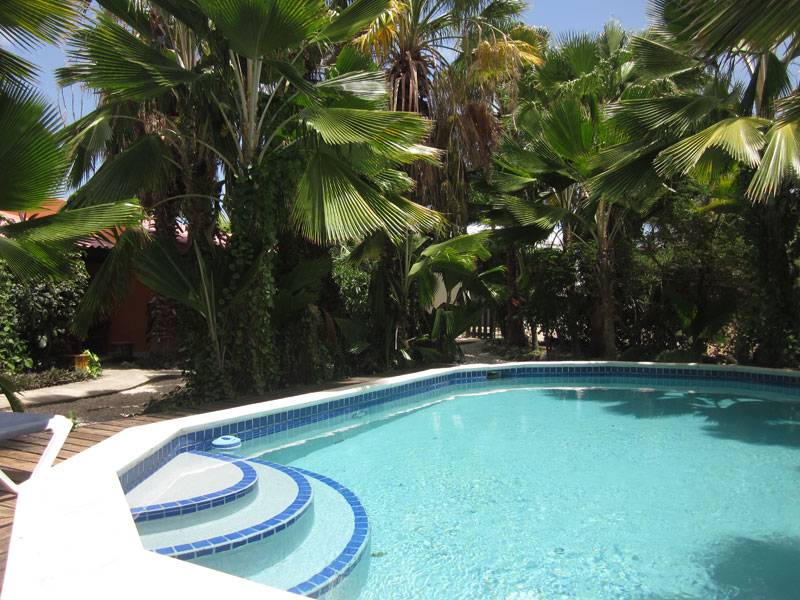 Tauchreise Bonaire | Tropical Inn Resort | Tropische Poolanlage