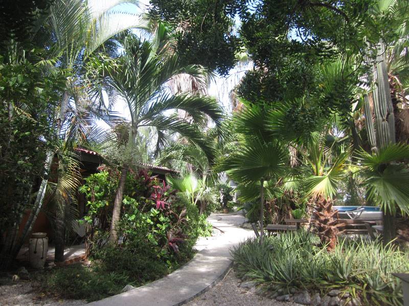 Tauchreise Bonaire | Tropical Inn Resort | Tropische Gartenanlage