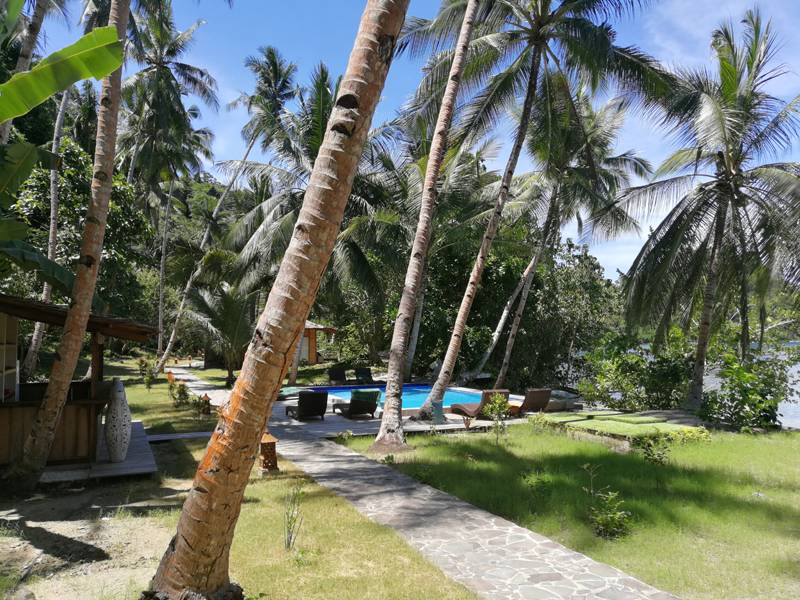 Tauchreise Sulawesi (Indonesien) | Sali Bay Resort | Pool in tropischem Garten