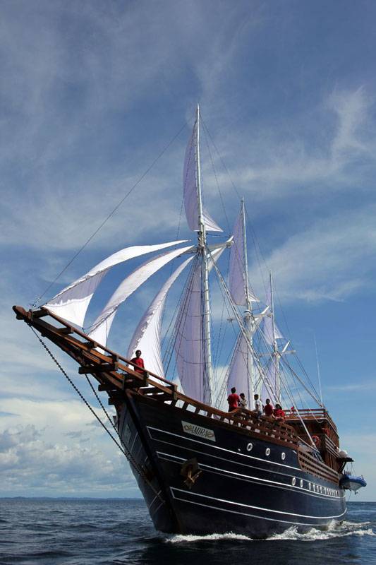 Tauchsafari Indonesien | Amira Tauchschiff