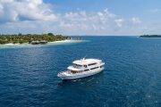 Tauchsafari Malediven Blue Shark One