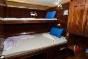 Tauchsafari Malediven Blue Shark One