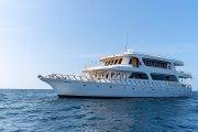 Tauchsafari Malediven Blue Shark One