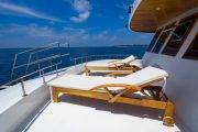 Tauchsafari Malediven Blue Shark One