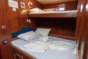 Tauchsafari Malediven Blue Shark One