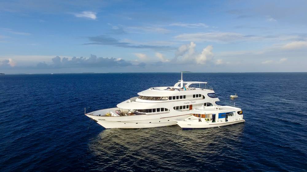 Tauchsafari Malediven | Carpe Diem Tauchschiff