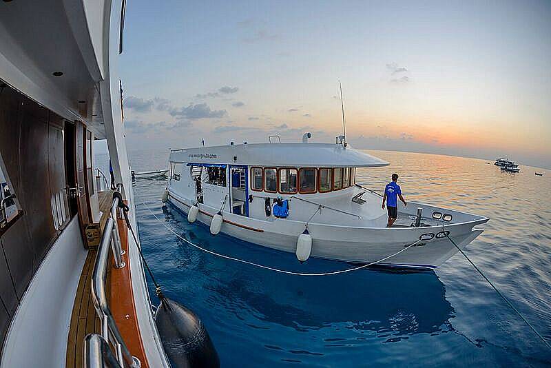 Tauchsafari Malediven | Carpe Novo Tauchschiff | Tauchboot