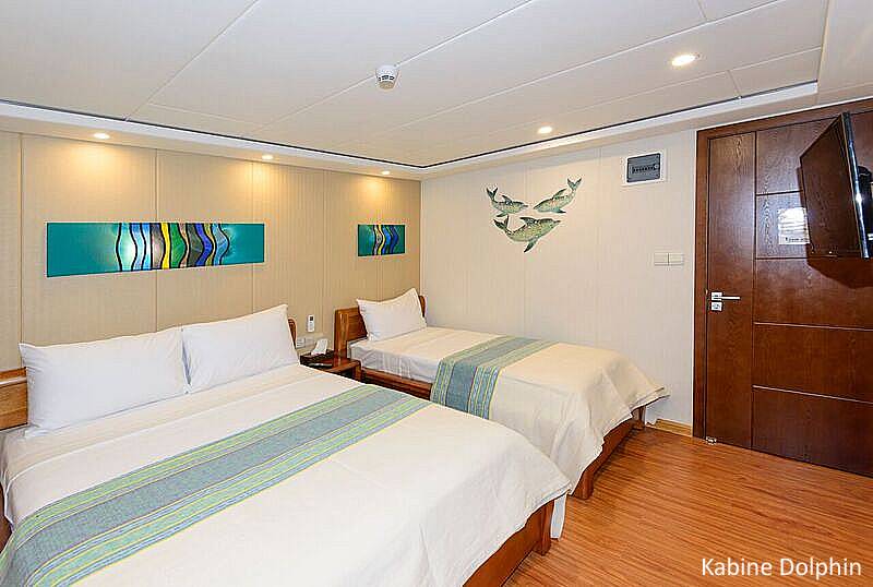 Tauchsafari Malediven | Carpe Novo Tauchschiff | Kabine Dolphin
