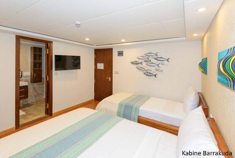 Tauchsafari Malediven | Carpe Novo Tauchschiff | Kabine Barrakuda
