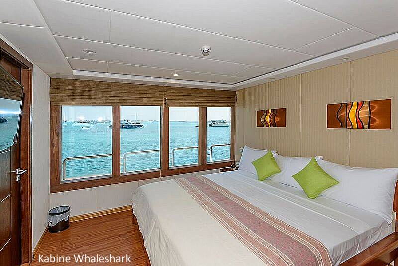 Tauchsafari Malediven | Carpe Novo Tauchschiff | Kabine Whaleshark