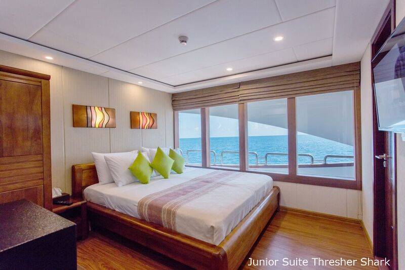 Tauchsafari Malediven | Carpe Novo Tauchschiff | Junior Suite Thresher Shark