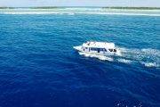Tauchsafari Malediven | Carpe Vita Tauchschiff & Luxusyacht