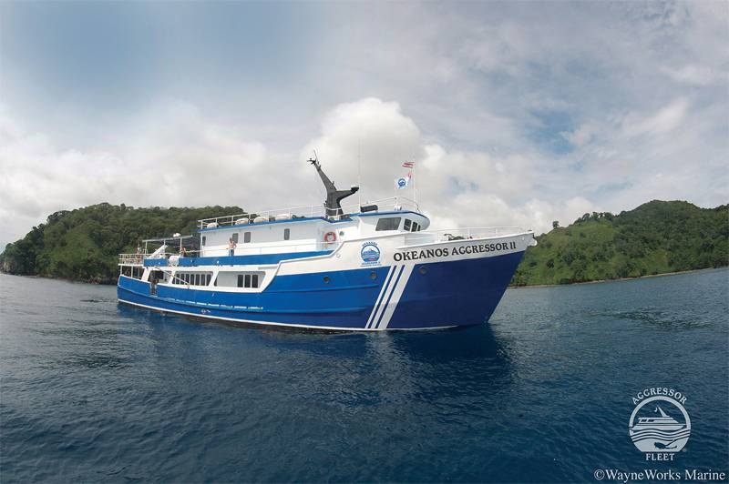 Tauchsafari Costa Rica | Okeanos Aggressor 2 Tauchschiff | Kokos-Insel