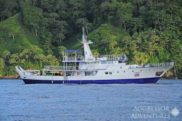 Tauchsafari Costa Rica | Okeanos Aggressor 1 Tauchschiff | Cocos Island
