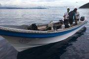 Tauchsafari Indonesien | Coralia Tauchschiff | Tauchboot