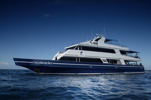 Galapagos Tauchsafari Tiburon Explorer Amp Landausfl Ge