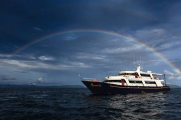 Tauchsafari Indonesien Raja Ampat Aggressor