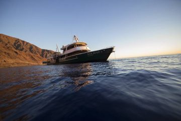 Tauchsafari Mexiko | Solmar V Tauchschiff