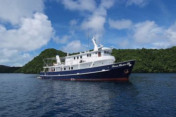 Palau Pacific Resort Tauchbasis Sam S Tours Amp Fish N Fins