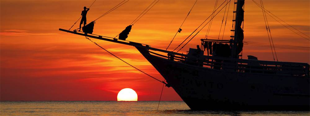 Tauchsafari Indonesien | Pindito Tauchschiff | Komodo, Bandasee und Raja Ampat