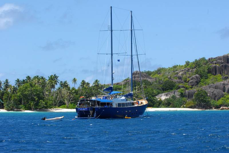 Tauchsafari Seychellen | Sea Star Tauchschiff | Tropische Vegetation