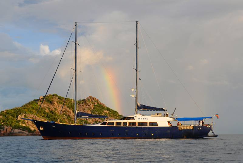 Tauchsafari Seychellen | Sea Star Tauchschiff