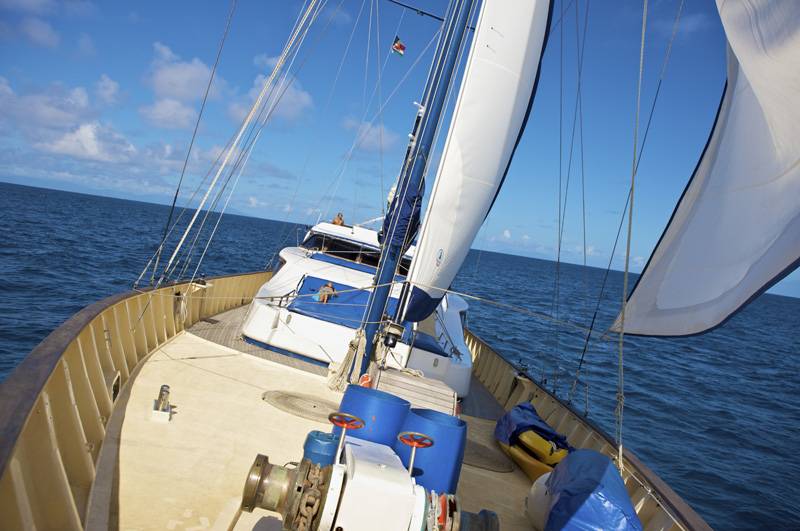 Tauchsafari Seychellen | Sea Star Tauchschiff | Sonnendeck