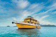 Tauchsafari Thailand | Marco Polo Tauchschiff | Andaman See, Similan, Surin und Richelieu Rock
