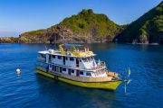 Tauchsafari Thailand | Marco Polo Tauchschiff