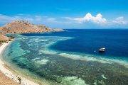 Tauchsafari Indonesien | Wellenreng Tauchschiff | Riffe