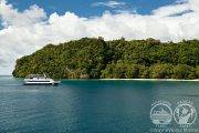 Tauchsafari Palau | Rock Islands Aggressor Tauchschiff | Tropische Küstenwälder