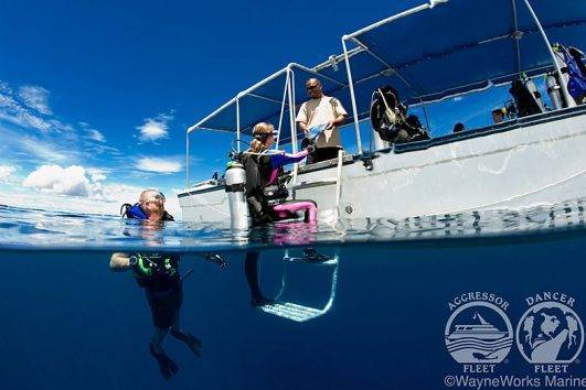 Tauchsafari Palau Rock Islands Aggressor