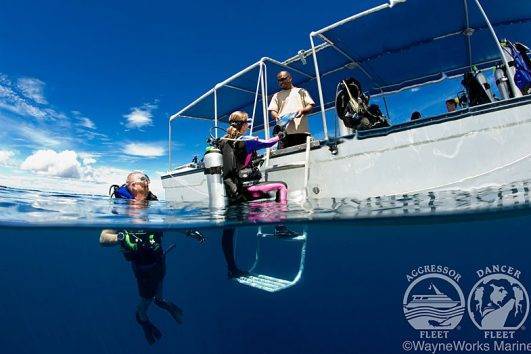 Galapagos Tauchsafari Tiburon Explorer Amp Landausfl Ge