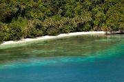 Tauchsafari Palau | Rock Islands Aggressor Tauchschiff | Tropische Regenwälder