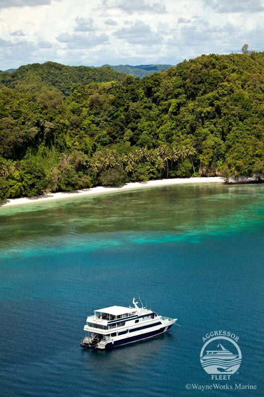 Tauchsafari Palau | Rock Islands Aggressor Tauchschiff | Tropische Regenwälder