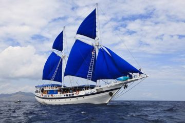 Tauchsafari Indonesien Amira
